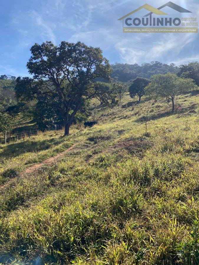 WhatsApp Image 2025-06-16 at 10.57.35 (2).jpeg